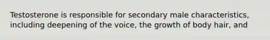 Testosterone is responsible for secondary male characteristics, including deepening of the voice, the growth of body hair, and