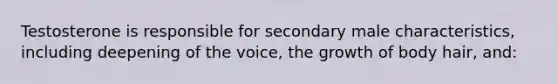 Testosterone is responsible for secondary male characteristics, including deepening of the voice, the growth of body hair, and: