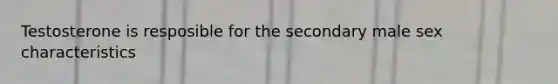 Testosterone is resposible for the secondary male sex characteristics