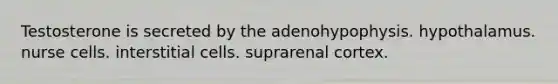 Testosterone is secreted by the adenohypophysis. hypothalamus. nurse cells. interstitial cells. suprarenal cortex.