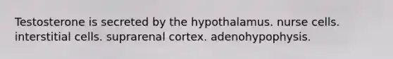 Testosterone is secreted by the hypothalamus. nurse cells. interstitial cells. suprarenal cortex. adenohypophysis.