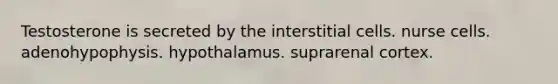 Testosterone is secreted by the interstitial cells. nurse cells. adenohypophysis. hypothalamus. suprarenal cortex.