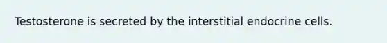 Testosterone is secreted by the interstitial endocrine cells.