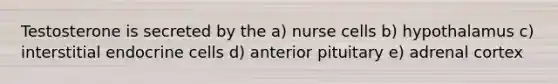 Testosterone is secreted by the a) nurse cells b) hypothalamus c) interstitial endocrine cells d) anterior pituitary e) adrenal cortex