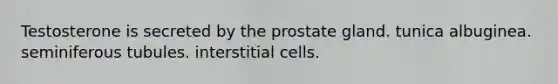 Testosterone is secreted by the prostate gland. tunica albuginea. seminiferous tubules. interstitial cells.