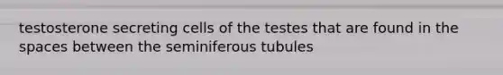 testosterone secreting cells of the testes that are found in the spaces between the seminiferous tubules