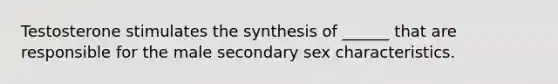 Testosterone stimulates the synthesis of ______ that are responsible for the male secondary sex characteristics.