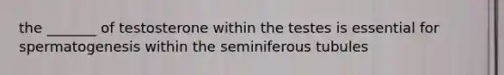 the _______ of testosterone within the testes is essential for spermatogenesis within the seminiferous tubules