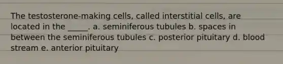 The testosterone-making cells, called interstitial cells, are located in the _____. a. seminiferous tubules b. spaces in between the seminiferous tubules c. posterior pituitary d. blood stream e. anterior pituitary