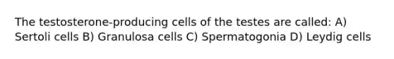 The testosterone-producing cells of the testes are called: A) Sertoli cells B) Granulosa cells C) Spermatogonia D) Leydig cells