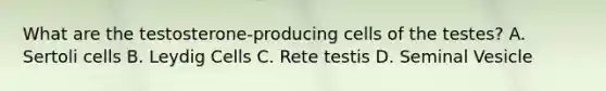 What are the testosterone-producing cells of the testes? A. Sertoli cells B. Leydig Cells C. Rete testis D. Seminal Vesicle