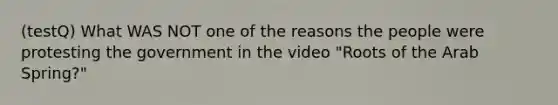 (testQ) What WAS NOT one of the reasons the people were protesting the government in the video "Roots of the Arab Spring?"