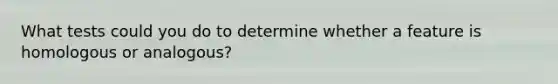 What tests could you do to determine whether a feature is homologous or analogous?