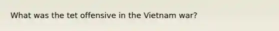 What was the tet offensive in the Vietnam war?