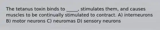 The tetanus toxin binds to _____, stimulates them, and causes muscles to be continually stimulated to contract. A) interneurons B) motor neurons C) neuromas D) sensory neurons