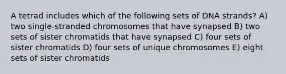 A tetrad includes which of the following sets of DNA strands? A) two single-stranded chromosomes that have synapsed B) two sets of sister chromatids that have synapsed C) four sets of sister chromatids D) four sets of unique chromosomes E) eight sets of sister chromatids