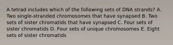 A tetrad includes which of the following sets of DNA strands? A. Two single-stranded chromosomes that have synapsed B. Two sets of sister chromatids that have synapsed C. Four sets of sister chromatids D. Four sets of unique chromosomes E. Eight sets of sister chromatids