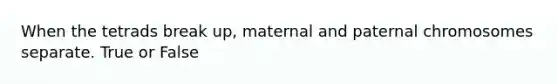 When the tetrads break up, maternal and paternal chromosomes separate. True or False