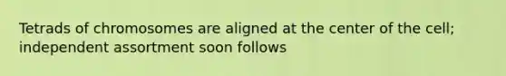 Tetrads of chromosomes are aligned at the center of the cell; independent assortment soon follows