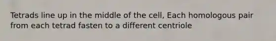 Tetrads line up in the middle of the cell, Each homologous pair from each tetrad fasten to a different centriole