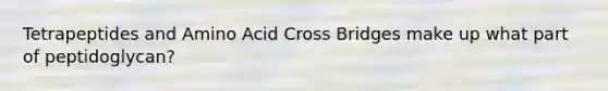 Tetrapeptides and Amino Acid Cross Bridges make up what part of peptidoglycan?