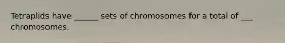 Tetraplids have ______ sets of chromosomes for a total of ___ chromosomes.