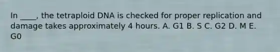 In ____, the tetraploid DNA is checked for proper replication and damage takes approximately 4 hours. A. G1 B. S C. G2 D. M E. G0