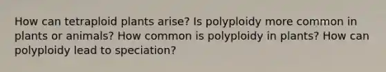 How can tetraploid plants arise? Is polyploidy more common in plants or animals? How common is polyploidy in plants? How can polyploidy lead to speciation?