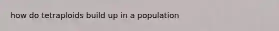 how do tetraploids build up in a population