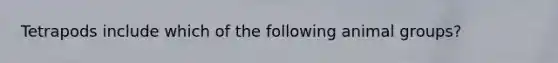 Tetrapods include which of the following animal groups?