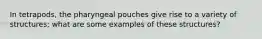 In tetrapods, the pharyngeal pouches give rise to a variety of structures; what are some examples of these structures?