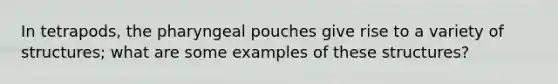 In tetrapods, the pharyngeal pouches give rise to a variety of structures; what are some examples of these structures?