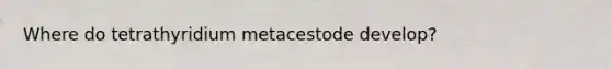 Where do tetrathyridium metacestode develop?