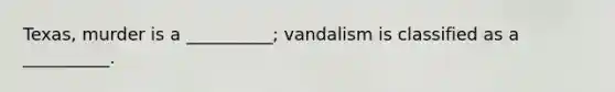 Texas, murder is a __________; vandalism is classified as a __________.