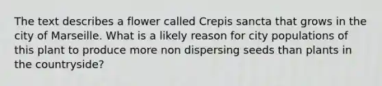 The text describes a flower called Crepis sancta that grows in the city of Marseille. What is a likely reason for city populations of this plant to produce more non dispersing seeds than plants in the countryside?