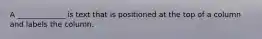 A _____________ is text that is positioned at the top of a column and labels the column.