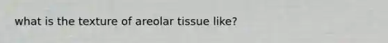 what is the texture of areolar tissue like?