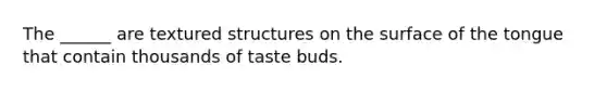 The ______ are textured structures on the surface of the tongue that contain thousands of taste buds.
