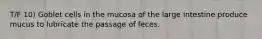 T/F 10) Goblet cells in the mucosa of the large intestine produce mucus to lubricate the passage of feces.