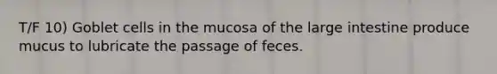 T/F 10) Goblet cells in the mucosa of the large intestine produce mucus to lubricate the passage of feces.