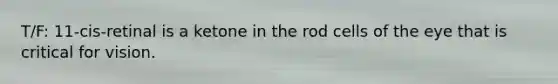 T/F: 11-cis-retinal is a ketone in the rod cells of the eye that is critical for vision.