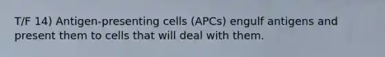 T/F 14) Antigen-presenting cells (APCs) engulf antigens and present them to cells that will deal with them.