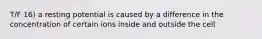 T/F 16) a resting potential is caused by a difference in the concentration of certain ions inside and outside the cell