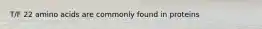 T/F 22 amino acids are commonly found in proteins