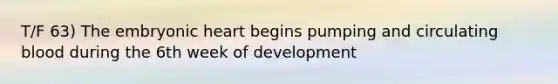 T/F 63) The embryonic heart begins pumping and circulating blood during the 6th week of development