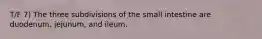 T/F 7) The three subdivisions of the small intestine are duodenum, jejunum, and ileum.