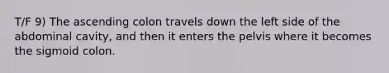 T/F 9) The ascending colon travels down the left side of the abdominal cavity, and then it enters the pelvis where it becomes the sigmoid colon.