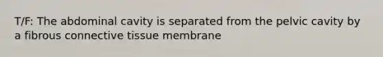 T/F: The abdominal cavity is separated from the pelvic cavity by a fibrous <a href='https://www.questionai.com/knowledge/kYDr0DHyc8-connective-tissue' class='anchor-knowledge'>connective tissue</a> membrane