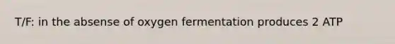 T/F: in the absense of oxygen fermentation produces 2 ATP