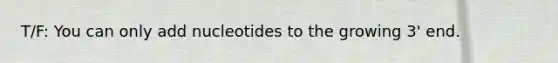 T/F: You can only add nucleotides to the growing 3' end.